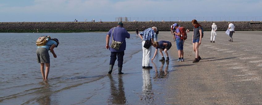 waarnemers van het SMP-project IJmuiden onderzoeken het aanspoelsel op hun traject