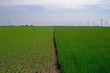 Intensief gebruikt landbouwgebied is totaal ongeschikt voor vlinders