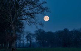 Jan Ubels, Flickr maan