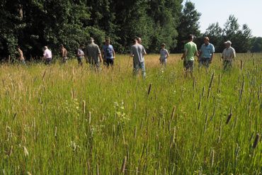 Deelnemers en medewerkers ANLb Natuurrijk Limburg delen buiten kennis: enthousiasme leidt tot inspiratie