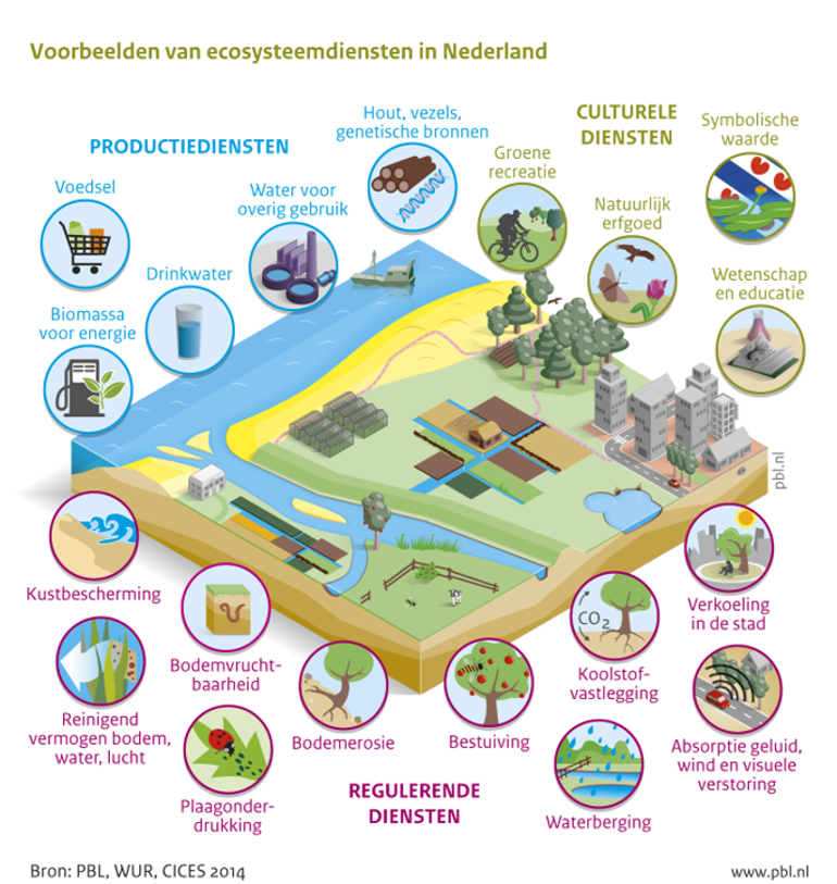 Voorbeelden van ecosysteemdiensten in Nederland