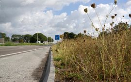 Ecologisch beheer van berm bij bushalte