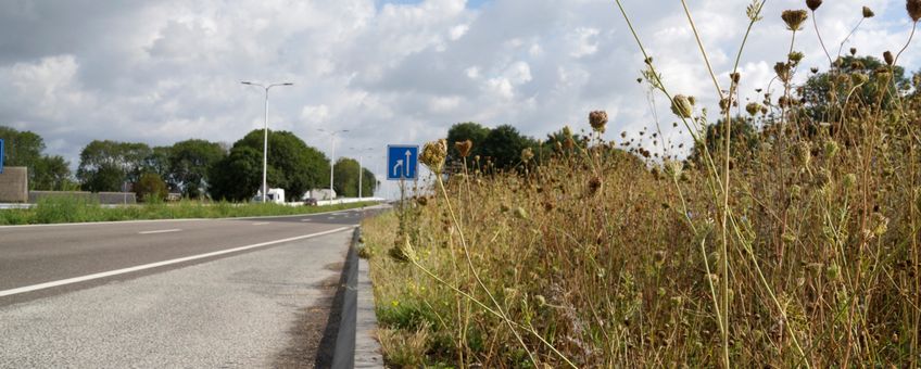 Ecologisch beheer van berm bij bushalte