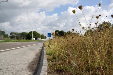 Ecologisch beheer van berm langs bushalte