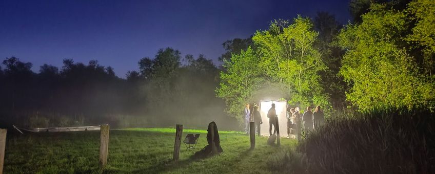 Nachtvlinderen in de Weerribben.