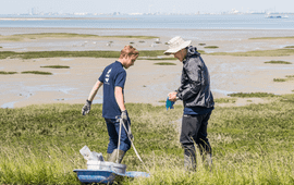 NIOZ Fieldwork