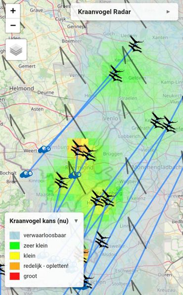 Vorige week keerden de eerste groepen kraanvogels via Limburg terug naar het noorden