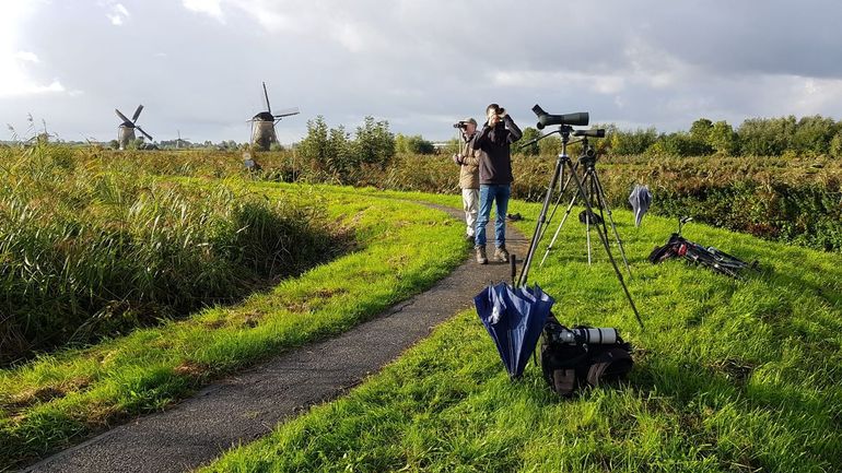 Telpost Kinderdijk