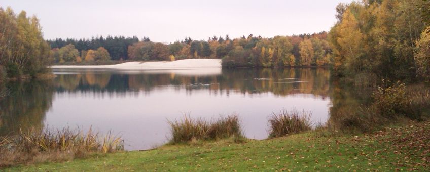 Landschap met bos en water