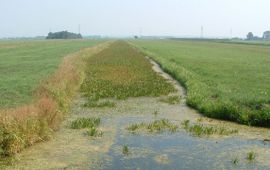 Kars Veling boerensloot primair