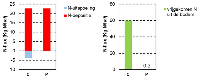Depositie en uitspoeling naar het grondwater en de hoeveelheid stikstof die vrijkomt bij afbraak van organische stof in droge heide zonder (C) en met plaggen (P) in Nederland