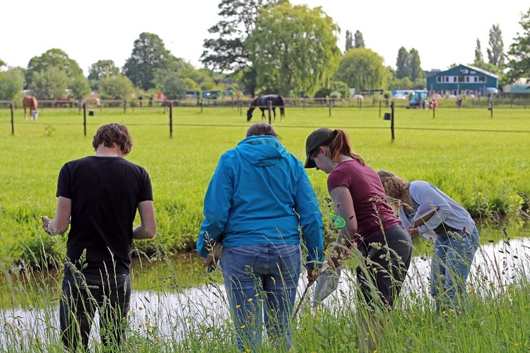 Burgeronderzoekers voeren samen een oevercheck uit