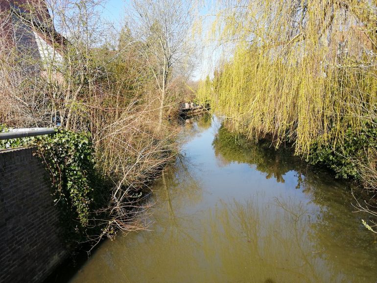 Ruige tuinen en bosschages langs het water in Zwolle-Zuid