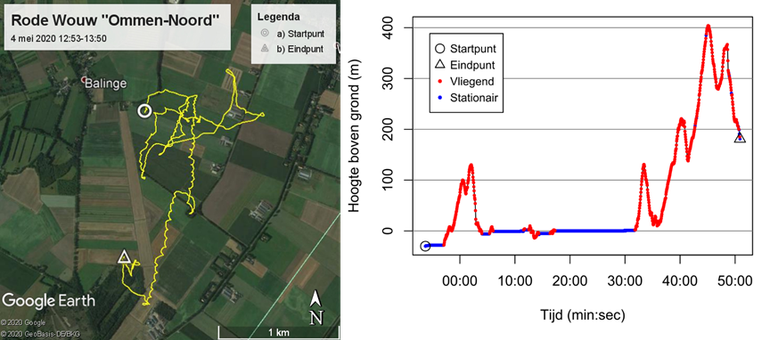 Figuur 1. Voorbeeld van een één uur durende hoge-resolutie track van een rode wouw bij Balinge (Drenthe) in mei 2020. Links: 2D-illustratie van de track. Rechts: verloop van de hoogte boven de grond in de tijd. De negatieve hoogtes in het begin van de track zijn door de niet altijd even grote nauwkeurigheid van de GPS-posities te verklaren: de gemiddelde afwijking is zes meter