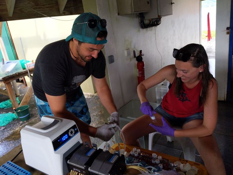 Author Zach Quinlan (left) and co-lead author Milou Arts (right) collect dissolved organic carbon samples using a peristaltic pump