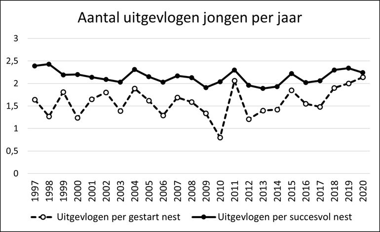 Het gemiddelde aantal uitgevlogen jongen per jaar, apart berekend per gestart nest en per succesvol nest. Te zien is dat de aantallen in de jaren 2018-2020 relatief hoog liggen