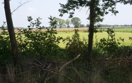 Landschap ten zuiden van Apeldoorn