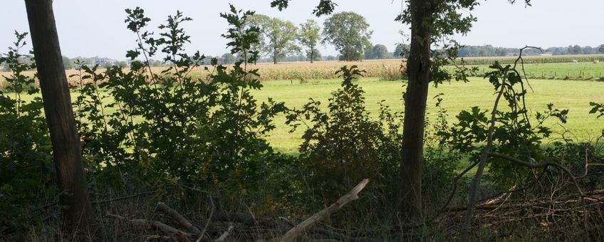 Landschap ten zuiden van Apeldoorn