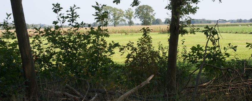 Landschap ten zuiden van Apeldoorn