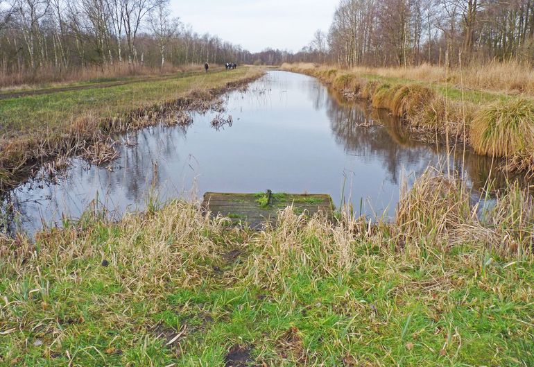 Een otterspraintplek: hier zit het wel goed met de waterhuishouding