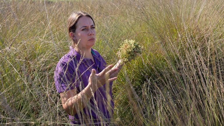 Boswachter Lieke Verhoeven vindt veenmos tussen de hoge grassen