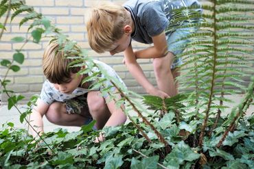 Spinnen zoeken in de tuin