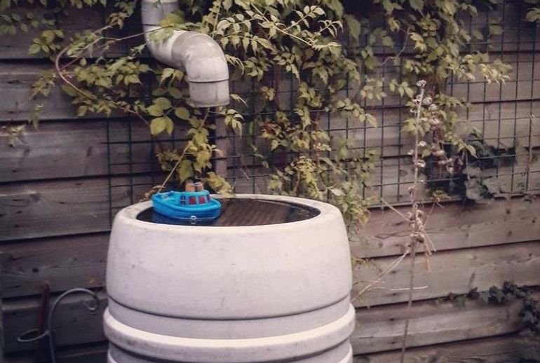 Verzamel regenwater en bespaar op kraanwater voor het water geven van je planten