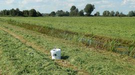 BIMAG emmer - primair