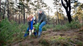 Gedeputeerde Mirjam Sterk helpt samen met een vrijwilliger mee aan de boomoogst