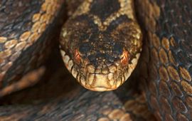 Adder