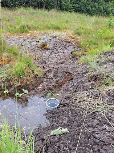 De geplaatste duikers onder het looppad zorgen ervoor dat het water nu meer verspreid door het terrein wordt geleid