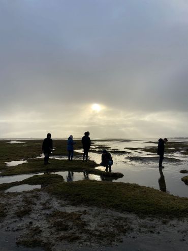 Op excursie in het Lauwersmeergebied