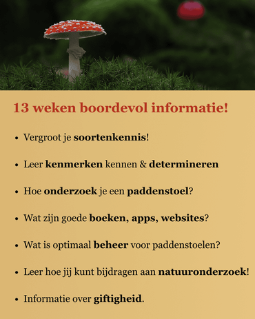 De Basiscursus Paddenstoelen gaat bijna van start