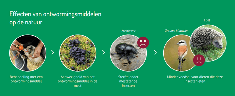 Effecten van ontwormingsmiddelen op de natuur