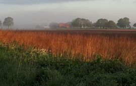 Sfeerbeeld Polder Ravenswoud