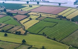 Maasheggen luchtfoto - eenmalig gebruik