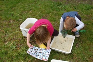 Waterdiertjes zoeken en op naam brengen met een zoekkaart
