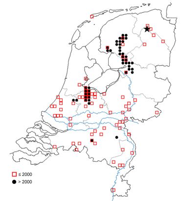 Verspreiding van de gestreepte waterroofkever in Nederland voor en na 2000. De vondst in het Omgelegde Eelderdiep is gemarkeerd met een ster