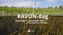 Header RAVON-dag 2023