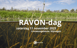 Header RAVON-dag 2023
