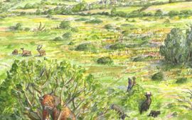 Jeroen Helmer, ARK Rewilding Nederland Natuurrijk landschap