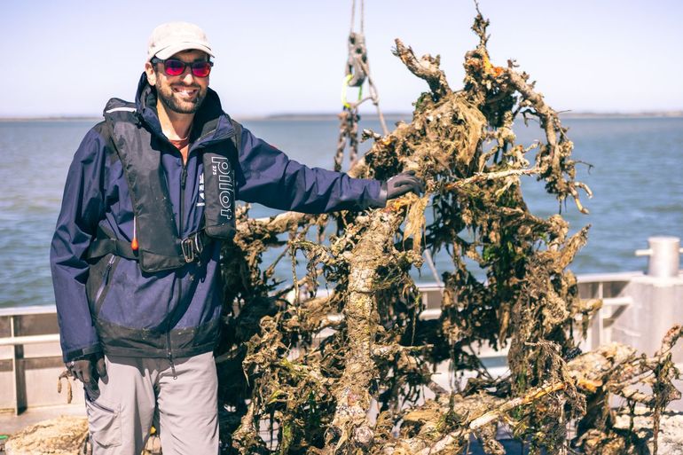 Jon Dickson met perenboomrif na zestien maanden in de Waddenzee