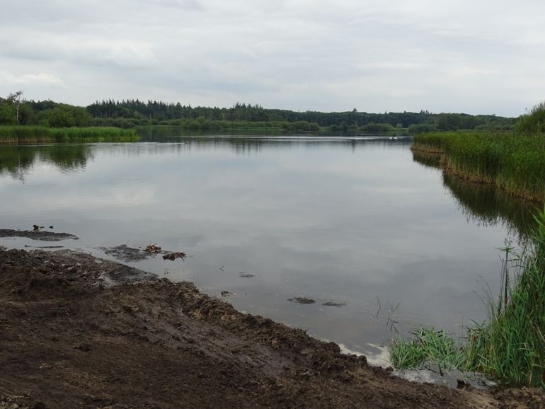 Uitzicht op het Greveschutven vanaf de tijdelijke dam. Die dam zorgt ervoor dat de achterliggende baai water blijft houden, om het leefgebied van libellen in stand te houden tijdens het verwijderen van het slib