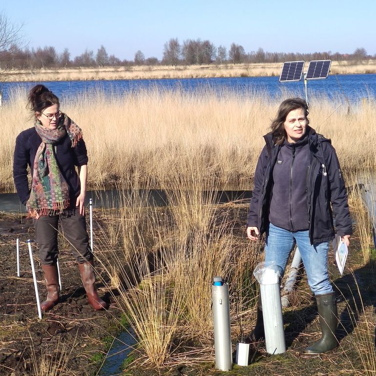 Onderzoekers Juul Limpens (Wageningen UR) en Hilde Tomassen (B-WARE) op een proeflocatie in het Bargerveen