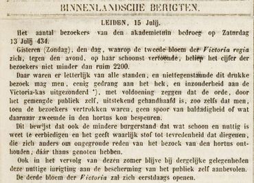 Krantenbericht uit 1872 over de bloeiende Victoria in de Leidse Hortus