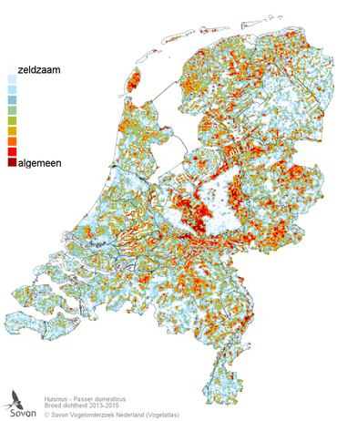 Dichtheidskaart huismus (broedperiode)