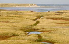 Een van de onderdelen van de kustvisie voor Texel is meer vrijheid voor de Slufter.