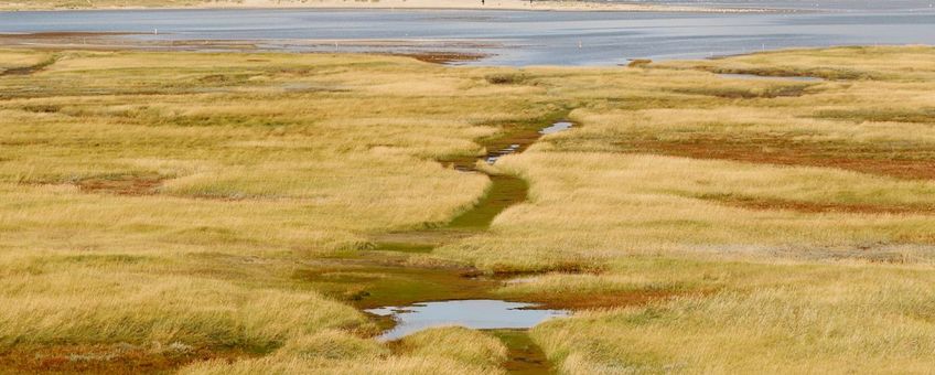 Een van de onderdelen van de kustvisie voor Texel is meer vrijheid voor de Slufter.