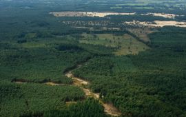 Het Hulshorsterzand op de achtergrond en de heidecorridor die is opengemaakt richting de Elspeetsche Heide