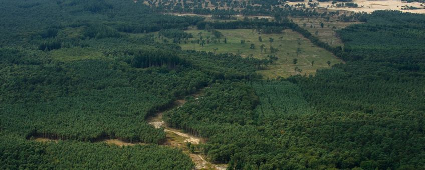 Het Hulshorsterzand op de achtergrond en de heidecorridor die is opengemaakt richting de Elspeetsche Heide